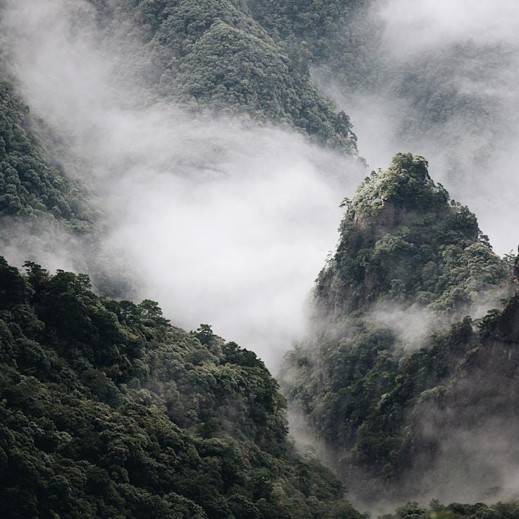 Protected areas overview